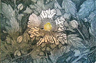 "Not your traditional poppy" etching