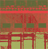 Carol Priamo image
